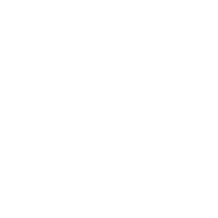 Braille Inspection icon